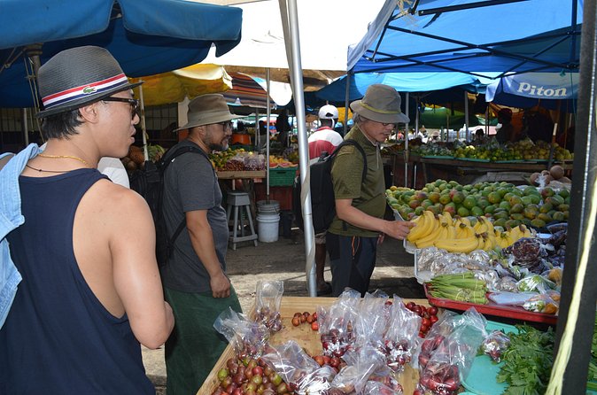 Shopping - St Lucia Got Talent Tour - The private format works best for specific groups