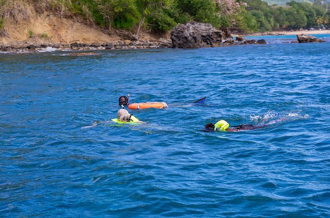 Snorkeling at Pigeon Island - Why the private format matters