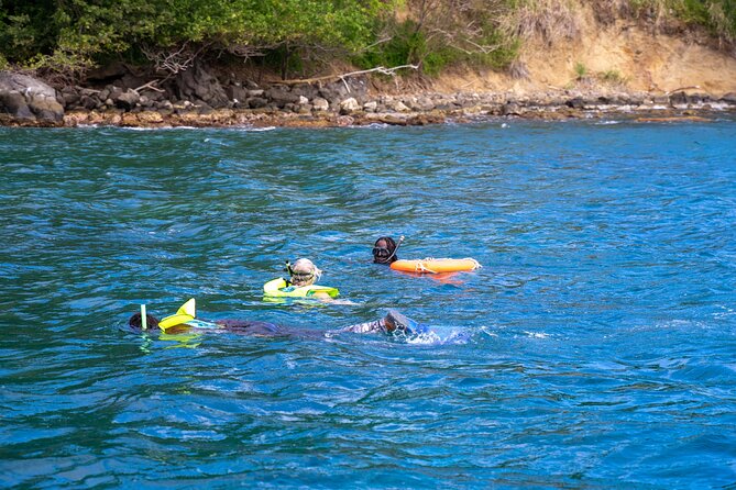 Snorkeling at Pigeon Island - Weather and visibility are the real gamble