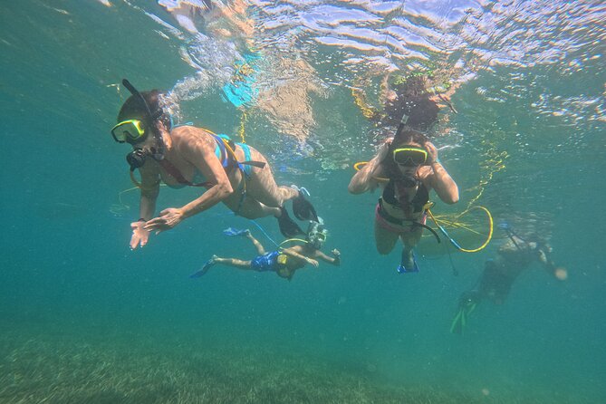 SNUBA Saint Lucia - Fish, coral, shells, and the visibility gamble