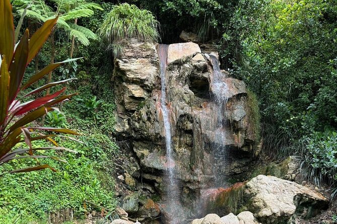 Soufriere Catamaran Excursion & Sapphire Falls Hike - The day at a glance