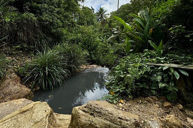 Soufriere Catamaran Excursion & Sapphire Falls Hike - Soufriere and lunch at Morne Coubaril Estate