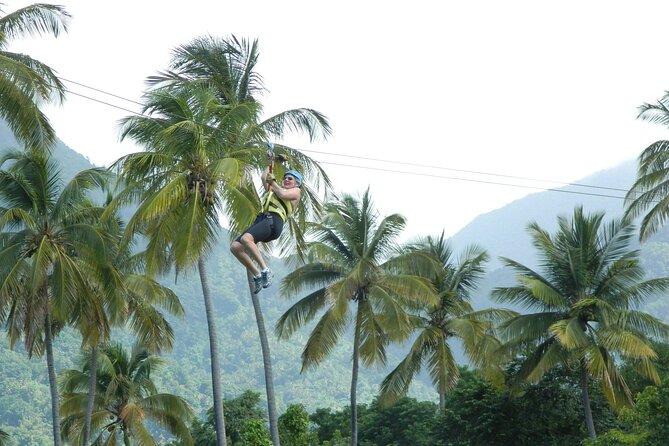 Soufriere Catamaran Excursion with Zip Lining from Castries - Zip lining at Morne Coubaril Estate