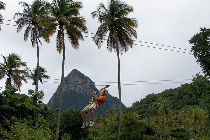 Soufriere Catamaran Excursion with Zip Lining from Castries - Port Castries and St. Lucia’s working coast