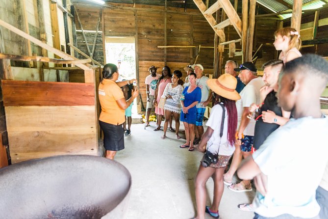 Soufriere Excursion with Rum & Chocolate Tasting - Marigot Bay and the return cruise