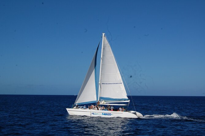 Soufriere to Rodney Bay Catamaran Transfer - Marigot Bay brings the best photo opportunity