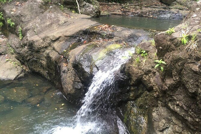 Soufriere Volcano Experience - What the $135 price really covers