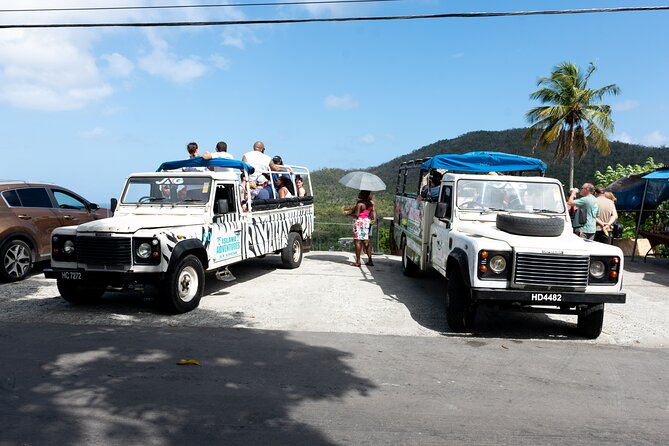 Soufriere Volcano Experience - Fresh fruit at a local farm around 8:50 am