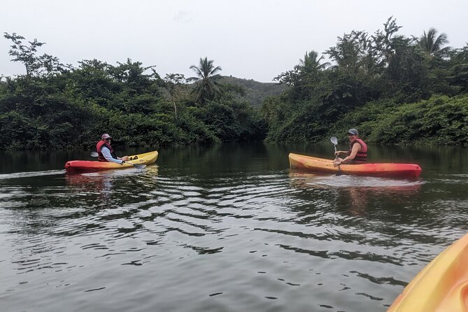 Splash Adventure Jeep and Kayak Safari - Roseau Beach, Coconuts, and a 30-Minute Pause
