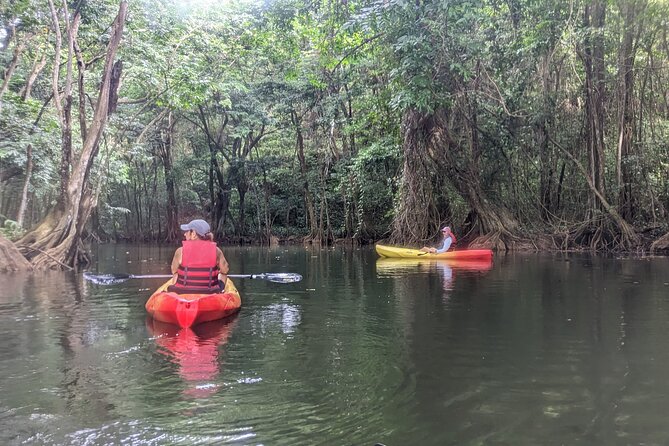 Splash Adventure Jeep and Kayak Safari - Basic Paddling Skills Before You Set Off