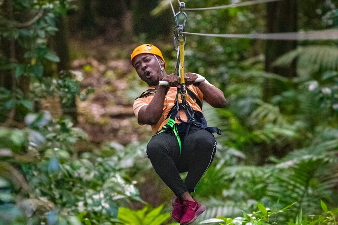 St. Lucia 3 in 1 Combo: Aerial Tram, Rainforest Trail & Zipline - Key points to know before booking