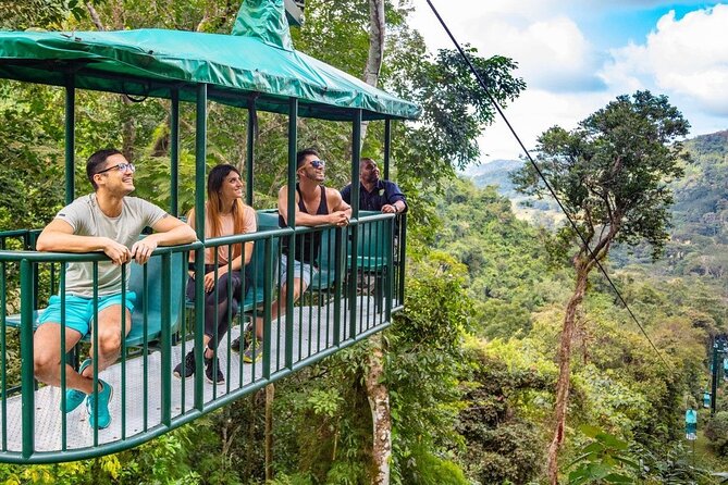 St. Lucia 3 in 1 Combo: Aerial Tram, Rainforest Trail & Zipline - Reaching the Castries Waterworks Reserve