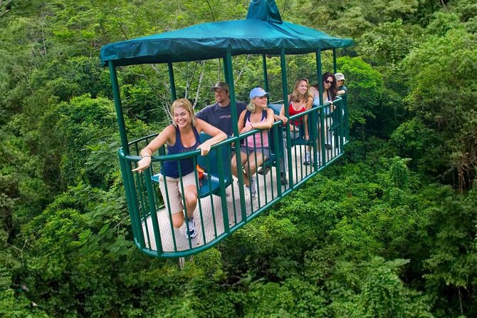 St. Lucia 3 in 1 Combo: Aerial Tram, Rainforest Trail & Zipline - Eight zip lines bring the action