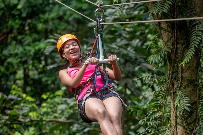 St. Lucia 3 in 1 Combo: Aerial Tram, Rainforest Trail & Zipline - The aerial tram gives you a quiet view of the canopy