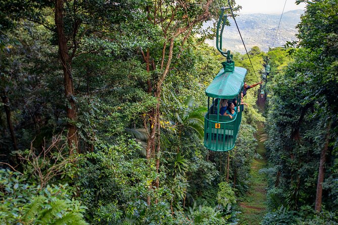 St. Lucia Aerial Tram Tour at Rainforest Adventures - Quick take: who should book this rainforest ride?