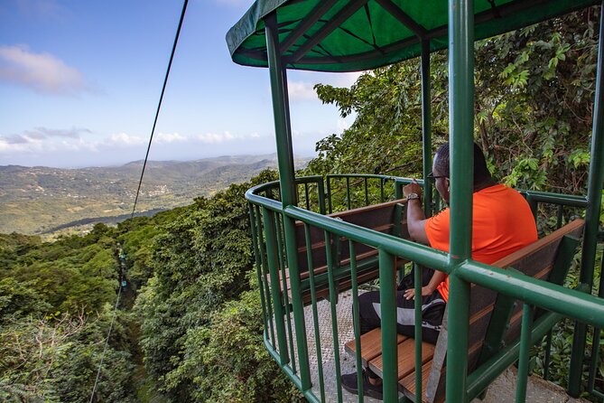 St. Lucia Aerial Tram Tour at Rainforest Adventures - Is the $85 price fair?