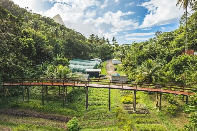 St Lucia Airport Transfer to Hotel Chocolat - The drive toward Hotel Chocolat and Soufriere