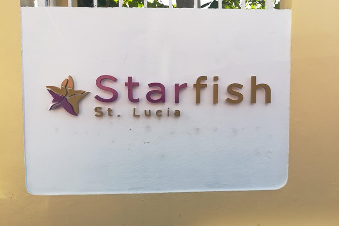 St Lucia Airport Transfer to Starfish St Lucia - What makes the driver service important