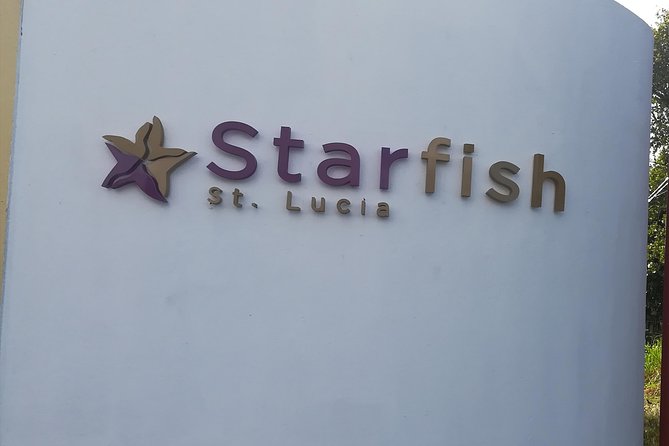 St Lucia Airport Transfer to Starfish St Lucia - Booking, cancellation, and practical details