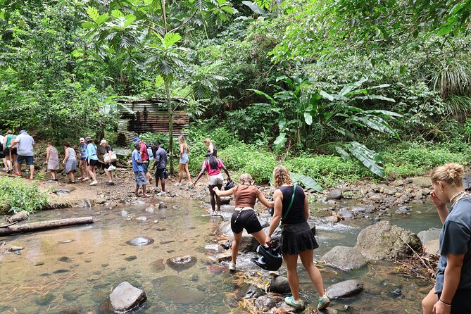 St Lucia ATV Tour : Waterfall, Plantation, Beach and Distillery - Saint Lucia Distillers and the rum tasting