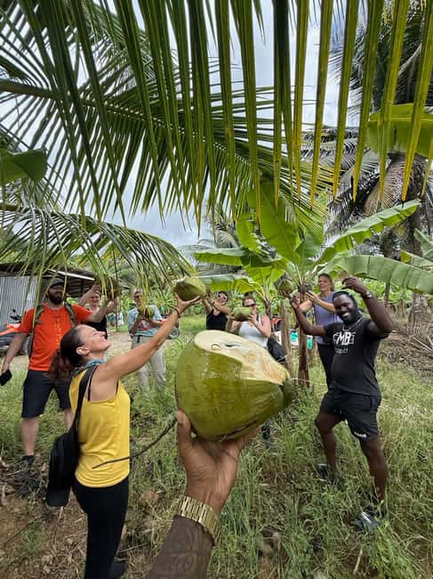 St. Lucia: ATV Tour with Beach Ride and Rum Tasting - Rainforest trails that make the ATV worthwhile
