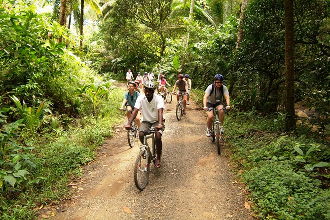 St Lucia Bike and Hike - Leaving the North Island by open-air vehicle