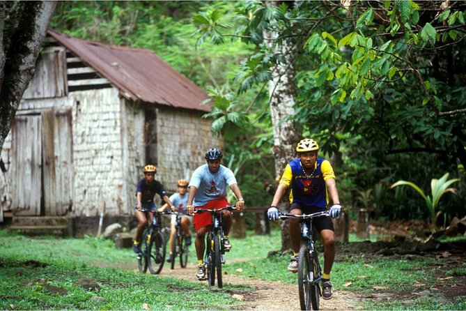 St Lucia Bike and Hike - Riding through the tropical interior