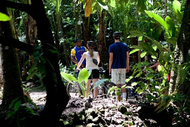 St Lucia Bike and Hike - Guides, plants, and the value of a small group