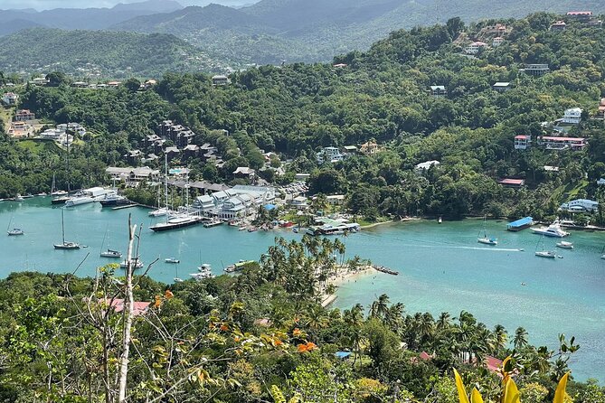 St Lucia Billy Goat Trail Hike in Marigot Bay Saint Lucia - Beach, mangroves, and native St Lucia plants