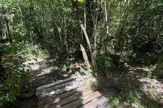 St Lucia Billy Goat Trail Hike in Marigot Bay Saint Lucia - How the price compares with the experience