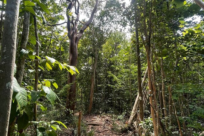 St Lucia Billy Goat Trail Hike in Marigot Bay Saint Lucia - Adding kayaking, sailing, or a distillery visit