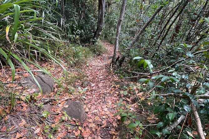 St Lucia Billy Goat Trail Hike in Marigot Bay Saint Lucia - From Marigot Bay to the first hillside views