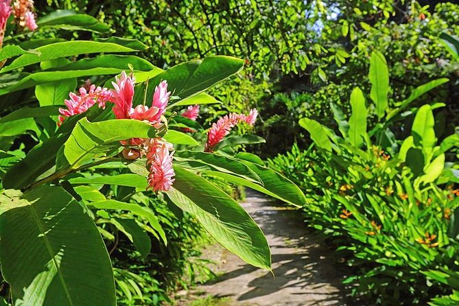 St. Lucia Botanical Gardens and Waterfall Tour Groups only - Key points to know before booking