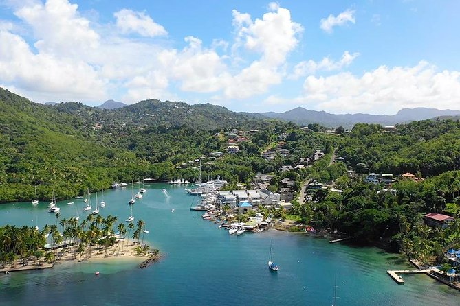 St. Lucia Botanical Gardens and Waterfall Tour Groups only - Diamond Botanical Gardens and its waterfall