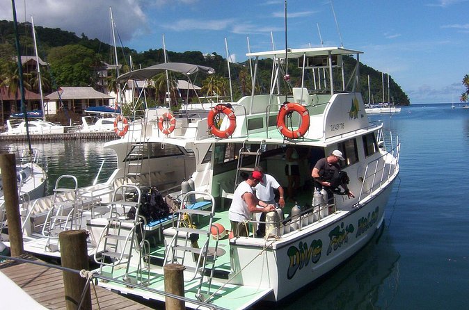 St Lucia Certified Scuba Diving Tour - Who will enjoy this St. Lucia outing most