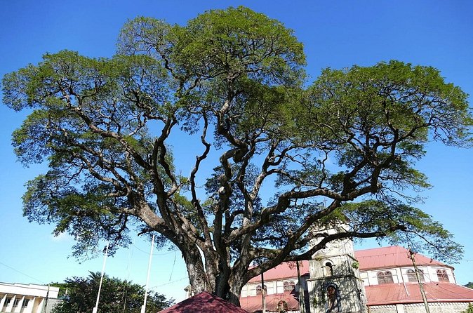 St Lucia Countryside Drive and Beach Tour - Timing, comfort, and physical demands