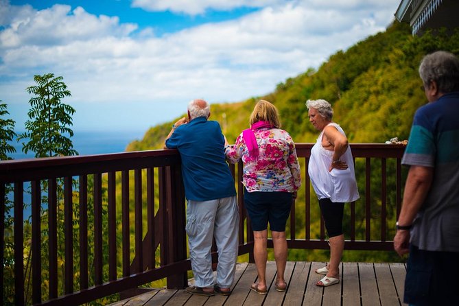 St Lucia Cruise Ship Excursion - The road is part of the experience, and part of the cost