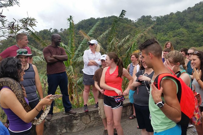 St Lucia Customize Private Island Tour - Diamond Falls and Toraille Waterfall