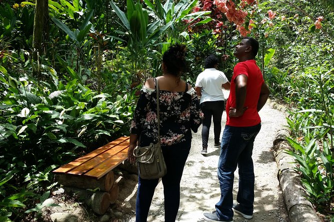 St Lucia Diamond Mineral and Mud Baths Plus Waterfall Adventure - Toraille Waterfall: the cool finish