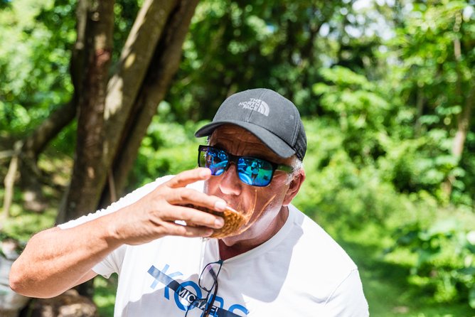 St Lucia Full-Day Catamaran Sightseeing Cruise With Snorkeling - Toraille Waterfall: a quick, refreshing stop