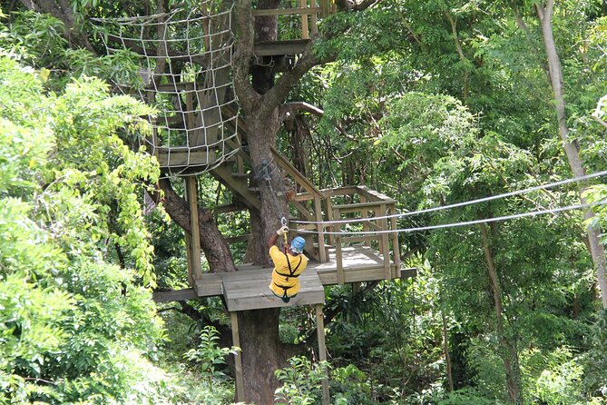 St. Lucia Morne Coubaril Estate Zipline Experience - How the $76.93 price measures up