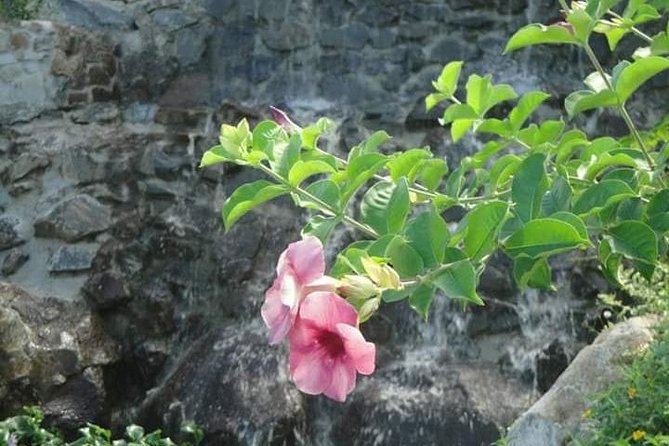 St Lucia Northern Island Tour - Key points to know before booking