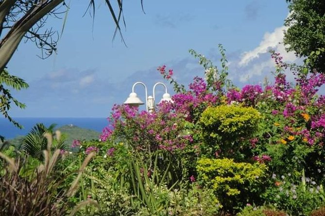 St Lucia Northern Island Tour - Why the north works well for a five-hour tour