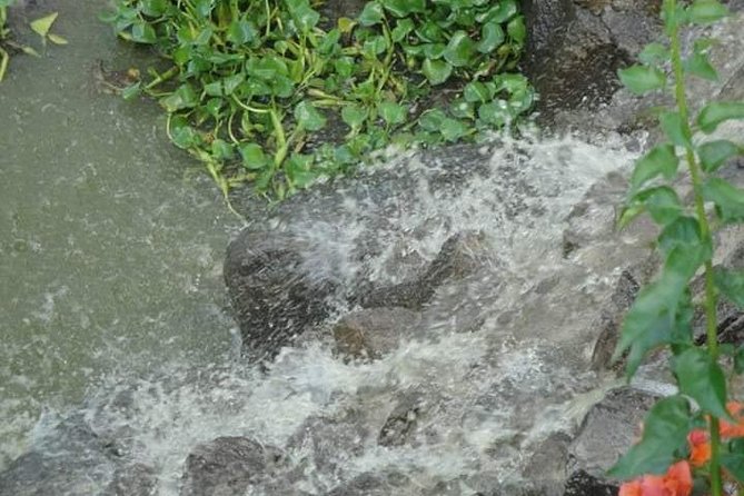 St Lucia Northern Island Tour - Timing, weather, and cancellation advice