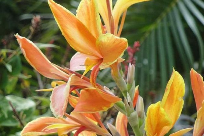 St Lucia Northern Island Tour - A private ride from Cap Estate