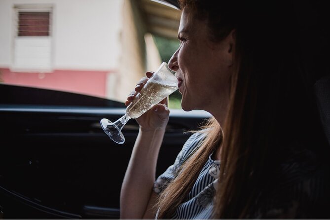 St Lucia Private Airport Transfer - Vacation Mode Activated! - Booking details that affect the value