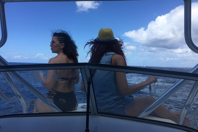 St. Lucia Private Boat Tour, Mud Bath, Waterfall & Beach Time - Jalousie Beach, Sugar Beach, and snorkeling