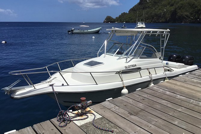 St. Lucia Private Boat Tour, Mud Bath, Waterfall & Beach Time - The guides and the level of service