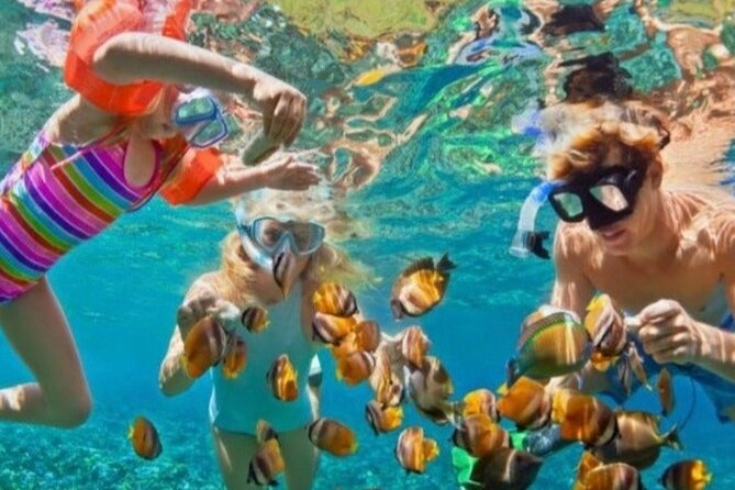 St Lucia Private Boat Tour/Sightseeing/Snorkeling - Why Take a Private Boat to the Pitons?