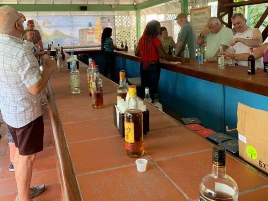 St. Lucia Private Rum Tasting and Tour - Banana plantations and the island’s working side